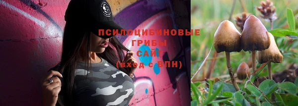кокс Вяземский